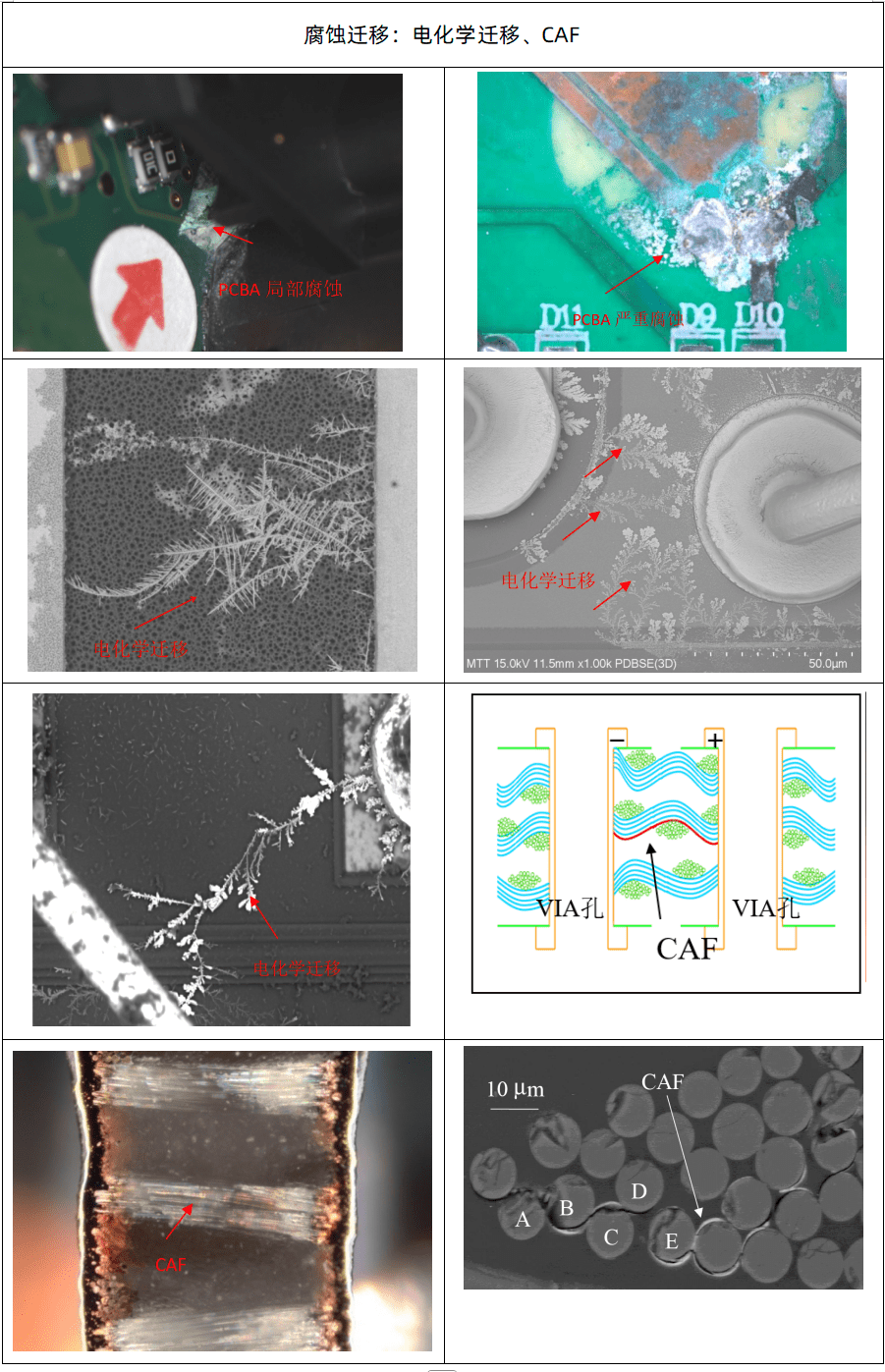 /ueditor/image/20251126/1764152626995974/e255248a1f022b9f126e5c31d767ef6e.png 6a00c09f75dc5d299062229761dbc6de_compressed.png